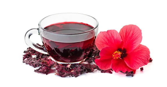 Hot hibiscus كركديه
